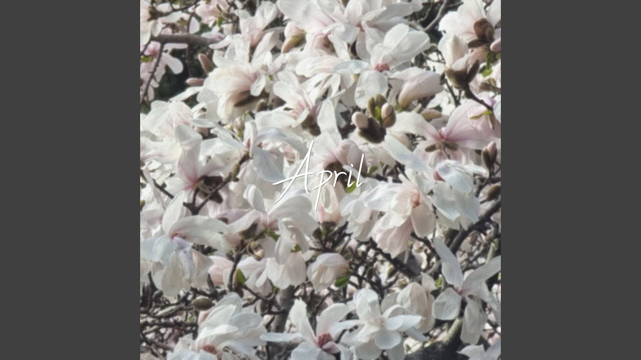 Watch Falling petals on YouTube Watch Falling petals on YouTube