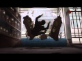 Avatar: A lenda de Korra Trailer
