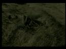 Watch American Analog Set - Born on the cusp on YouTube Watch American Analog Set - Born on the cusp on YouTube