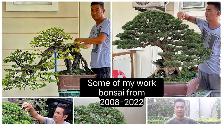 Some of my work bonsai from 2008-2022 #bonsai