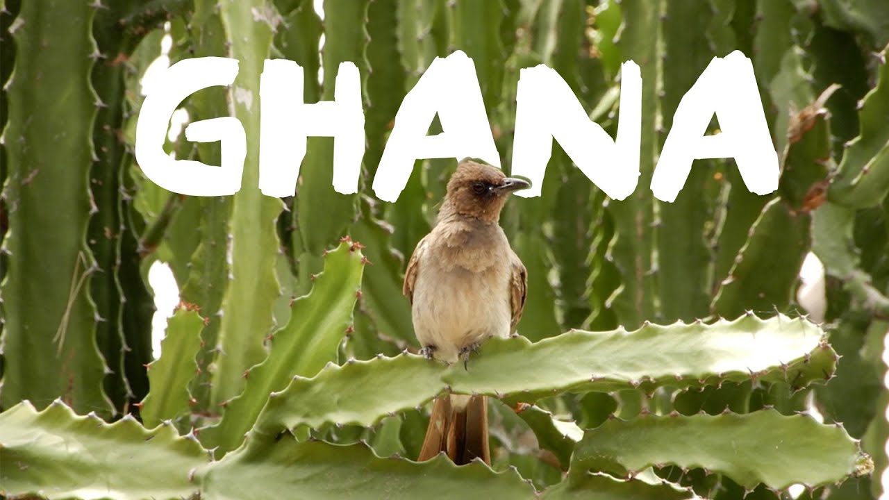 Backpacking Ghana in 2025