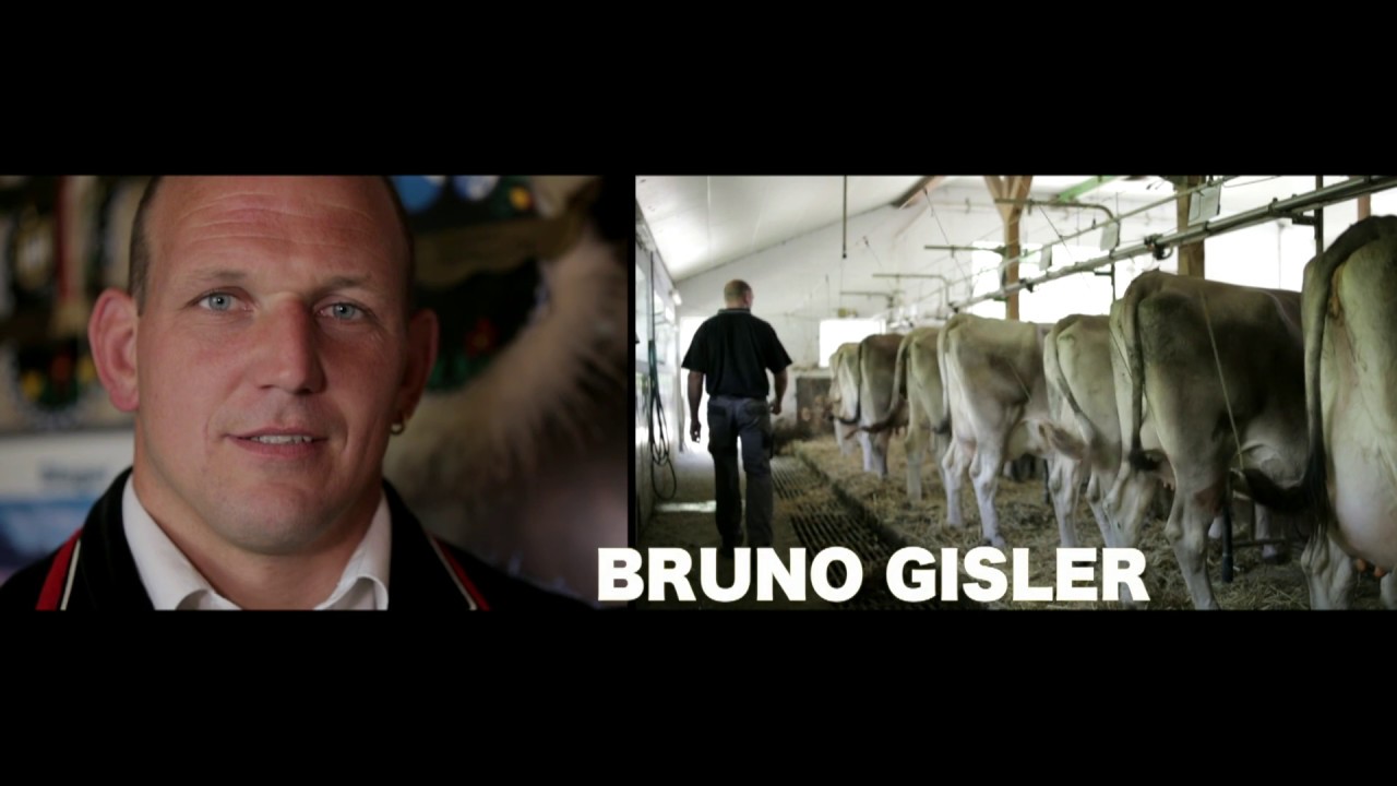 Schwingende Bauern: Bruno Gisler