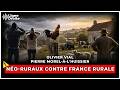 Coqs, fumier, cloches : ces néoruraux qui veulent faire taire la campagne
