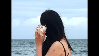 Sarah Mary Chadwick - Flipped It (Official Music Video)