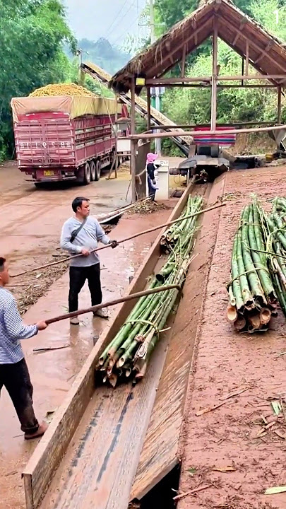 mesin kreatif super tajam untuk menghaluskan bambu runcing #shorts