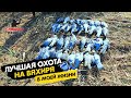 Охота на вяхиря/ Лучшая охота в моей жизни