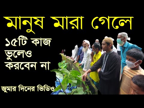 ভিডিও: আমার হর্নওয়ার্ম কেন মারা গেল?