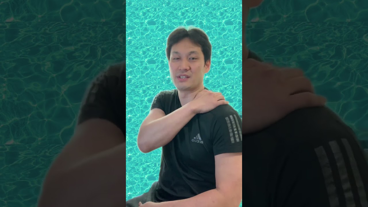 Tomy LAND information