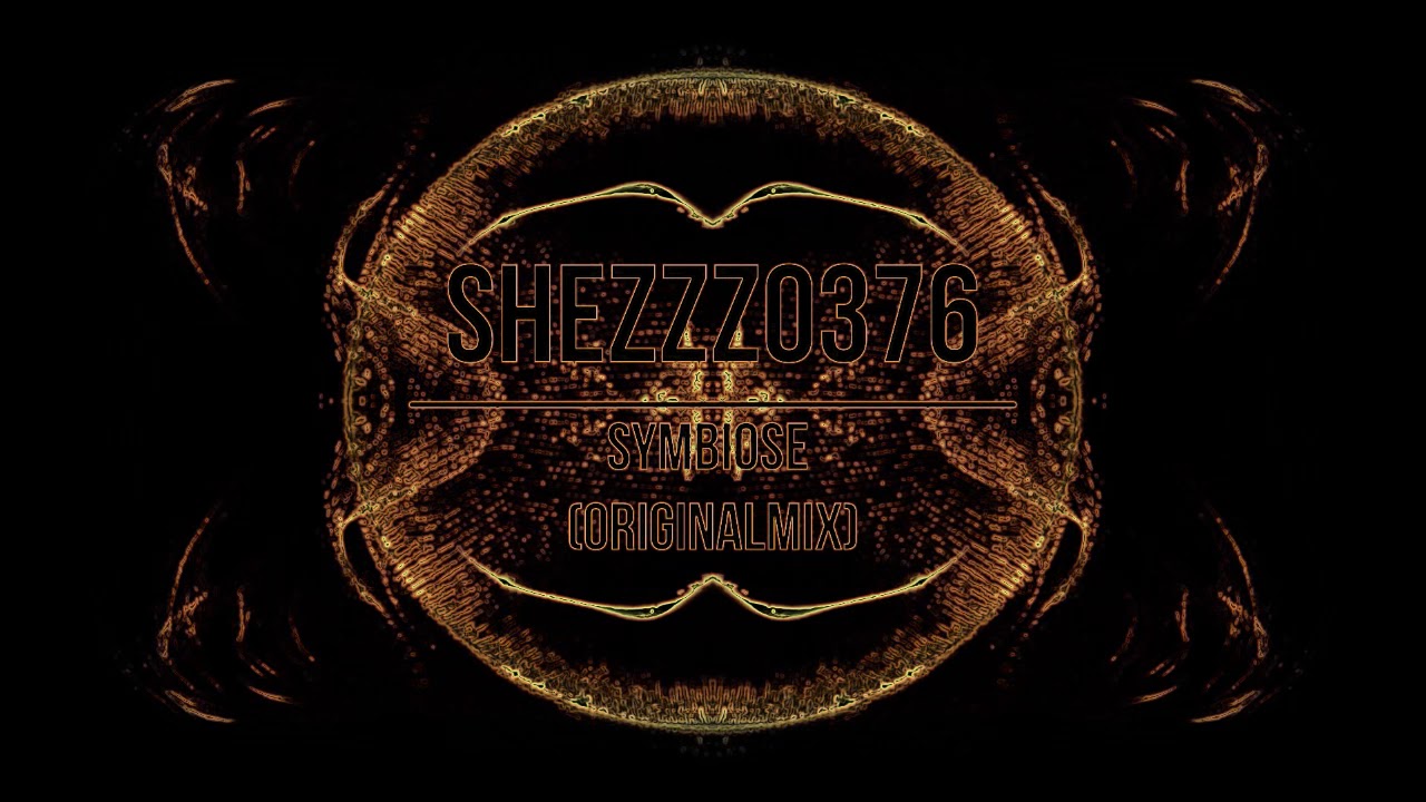 Melodic Techno//Symbiose//432Hz