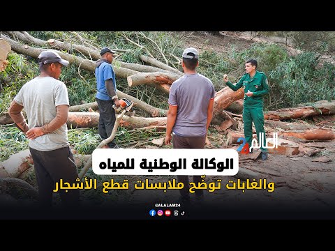 الوكالة الوطنية للمياه والغابات توض ح ملابسات قطع الأشجار في محمية سيدي بوغابة