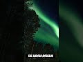 The Aurora Borealis dancing all night in northern Sweden