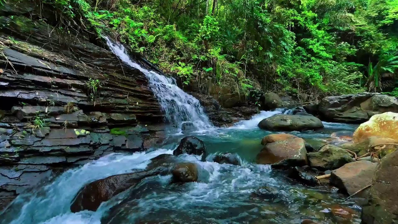Waterfall Sounds for Sleeping | Deep Sleep Waterfall White Noise & River Sound