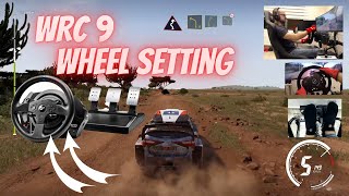 WRC 9 best wheel settings - Thrustmaster T300RS WRC 9 best wheel settings - Thrustmaster T300RS
