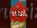 Russia has successfully tested what it claims to be