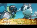 First-Ever Cruise! Day 3: Disney's Castaway Cay, Snorkeling, Pirate Night - Attractions Adventures