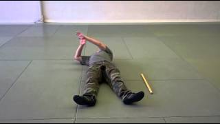 Systema movement by stick, 2014-06-28