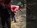 #snake #viralvideo #youtube #youtubeshorts #public #reaction #shorts #tranding #ytshorts #bholenath