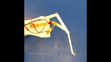 An Adaptive Walking Robot With Reconfigurable Mechanisms Using Shape Morphing Joints