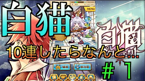 白猫プロジェクト 1周年 ガチャ 白猫プロジェクト 1周年 ガチャ