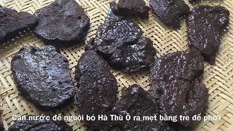 CÁCH CHẾ BIẾN HÀ THÙ Ô ĐỎ VỚI ĐẬU ĐEN LÒNG XANH CHỮA BẠC TÓC SỚM