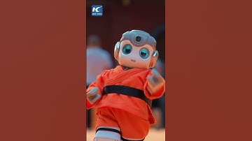 Smart humanoid robots perform Shaolin Kung Fu
