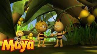 Greedy Frogs - Maya the Bee - Episode 68