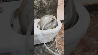 KAMMAK AİRPRO-2 Digital ile Gerçek Temizlik. Her Bir Petek Tek Tek Çalışıyoruz. #ferroli #kammak