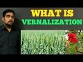 VERNALIZATION - EASY WAY FOR NEET EXAM