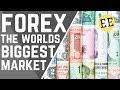 The Economics of Foreign Exchange - Forex