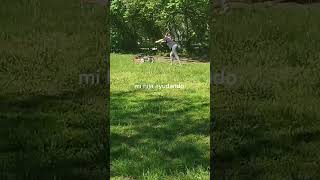 #fok #funny #asiancomedy #shorts #dailyvlog #life #crazy #random #daily #story