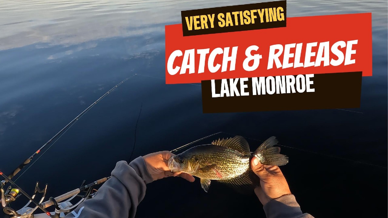 Мы решили, что сегодня будет день ловли и отпускания окуня, Спек. На озере Монро.