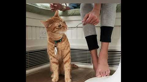 Amazing Gadgets 2021 | latest gadgets #shorts