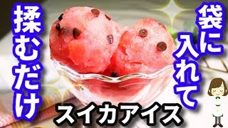 袋で揉むだけ簡単すぎる！種まで美味しい『スイカアイス』Watermelon ice