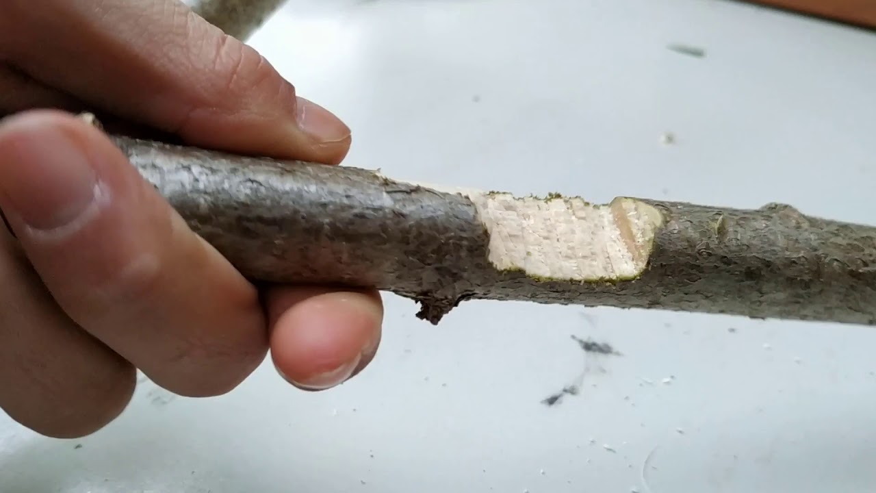 Comment faire une Epée en bois