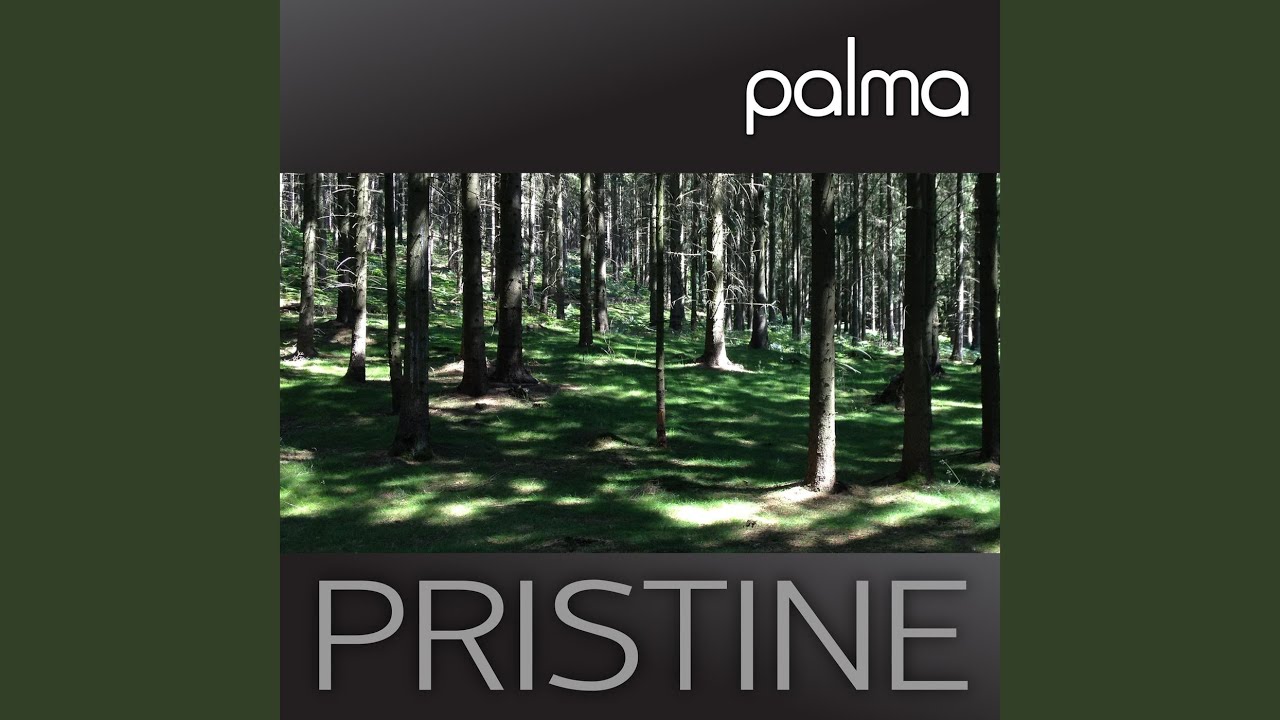 Pristine adlı videoyu YouTube'da izle Pristine adlı videoyu YouTube'da izle