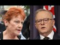 Labor Party in ‘panic mode’ as Pauline Hanson’s One Nation surges