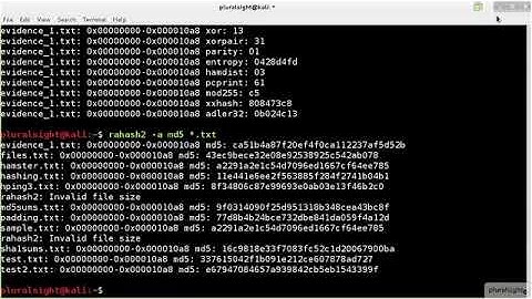 Kali Linux - vid 27 - How Does rahash2 Work in Kali Linux - Linux Academy