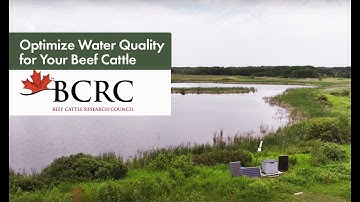 Optimize water quality for beef cattle with the BCRC Water Systems Calculator