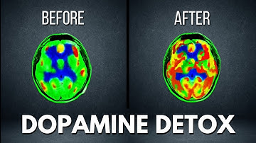 How Does Dopamine Detox Boost Your Brain - Dose this Really Work?