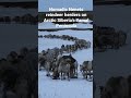 Nomadic Nenets Reindeer Herders Migrating On Arctic Siberia S Yamal Peninsula 