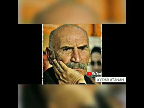 كلمات الخال رامز الحياة لا ترجع إلى الوراء