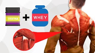 Can you take creatine and protein together? Can you take creatine and protein together?