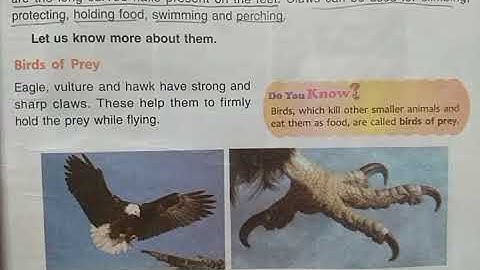 DAV Nahan Class-IV Science Revision L-5, Part-2