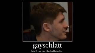 gayschlatt meme