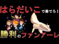 【ダイパリメイク】マッスグマで「はらだいこ」を奏でたら勝利まで一直線だった件