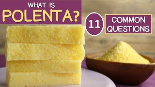 POLENTA, 11 Commonly Asked Questions by SuperfoodEvolution 2,353 views 5 months ago 8 minutes, 16 seconds