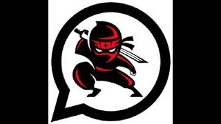 Da Li Je Ninja Ludj ???