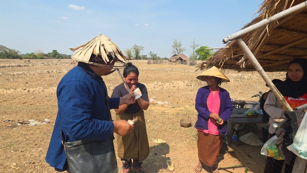 #เที่ยวลาว แวะตลาด ดง ไถ่ชีวิต งู นก เต่า #บรรยากาศการเดินทาง #วิถีชาวบ้าน ค้าขายริมทาง เมืองจำพอน 