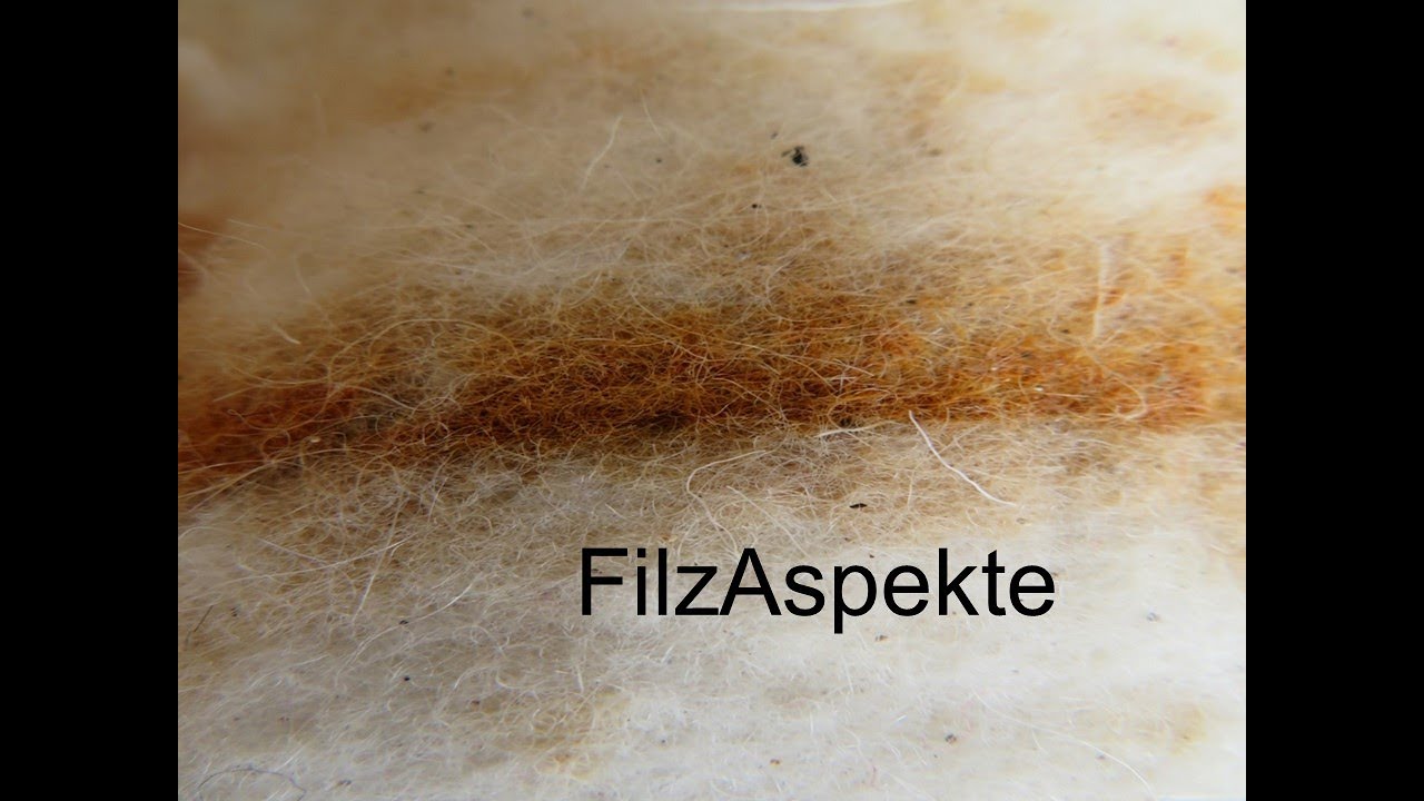 Ein Rundgang durch die Filzausstellung FilzAspekte 