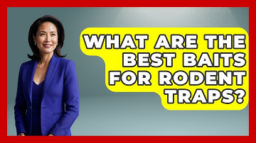 What Are The Best Baits For Rodent Traps? - Insects and Invaders